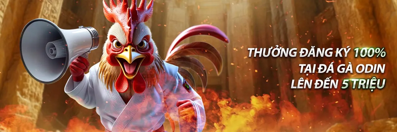 Nguyên tắc cờ bạc có trách nhiệm của e88 trang chủ