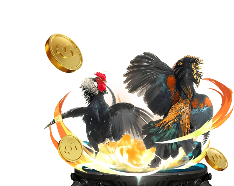 Chính sách cá cược có trách nhiệm e88